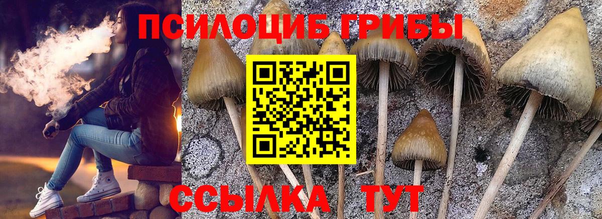 Псилоцибиновые грибы мицелий Зерноград