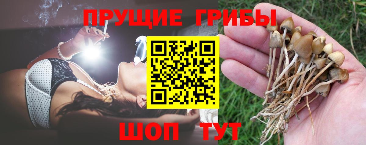 Галлюциногенные грибы Magic Shrooms  Вход с VPN  хочу   Зерноград 